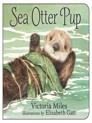 cover image of Sea Otter Pup